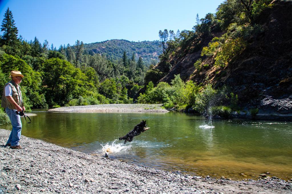 Russian River Camping Resort Cottage 7 Cloverdale Extérieur photo